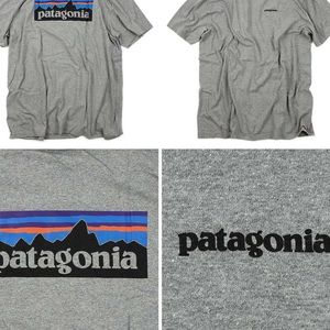 Patagonia logo t shirt grey